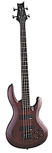 GUITARE BASSE // BASS GUITAR WS finish